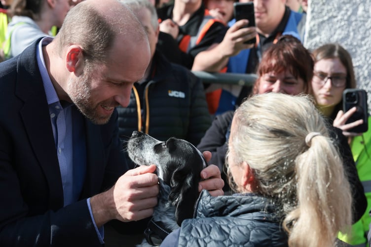 Cuddles for Stanley, the cockerspaniel who is one of the staff dogs on campus at Duchy. (Picture: Andrew Parsons / Kensington Palace)