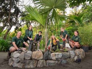 Critically endangered palm becomes rarest plant at Eden Project