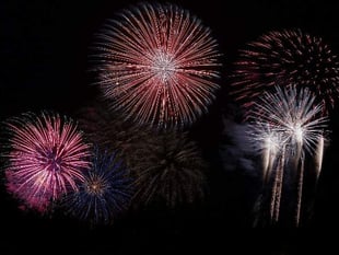 Should we ban fireworks? Millions sign petition asking for change