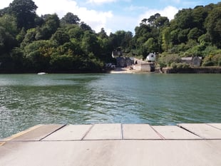 Lovely gardens at Trelissick plus an iconic ferry