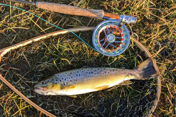 Paul Rollings' catch at Colliford. Picture: South West Lakes Trust