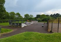 Liskeard council urges public to help catch Rapsons Park vandals