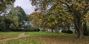 Town council secures PCC funding to extend CCTV to Castle Park