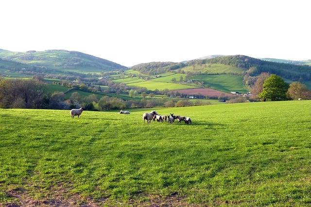 Council to debate "Supporting Our Farmers" motion amid tax changes