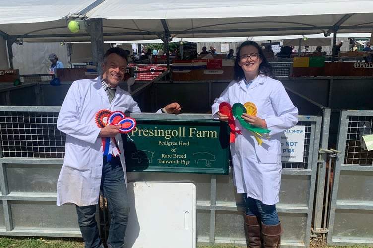 Royal Cornwall Show showing pedigree tamworth pigs