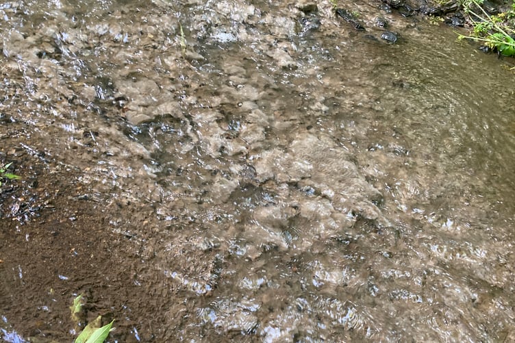 Pollution in the River Allen (Picture: Environment Agency)