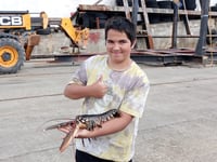 New series takes a deep dive into the future of young Cornish fishers