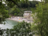 River Helford is a haven for wildlife and a special place to visit
