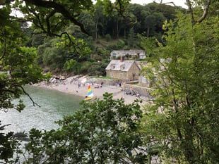 River Helford is a haven for wildlife and a special place to visit