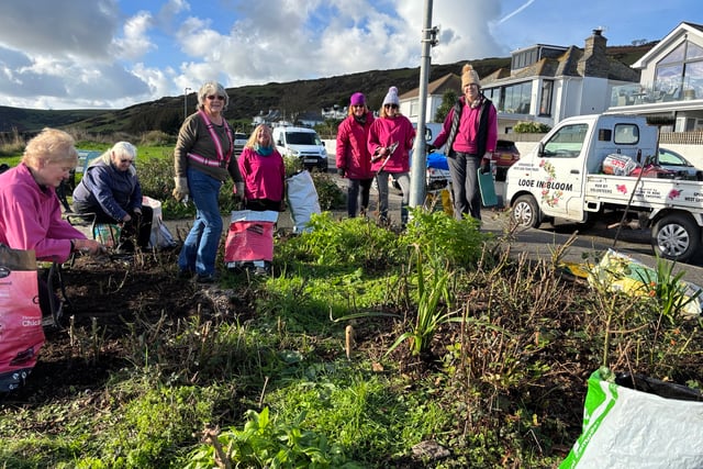 Locals urged to support Looe in Bloom in fundraising efforts