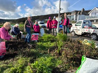 Locals urged to support Looe in Bloom in fundraising efforts