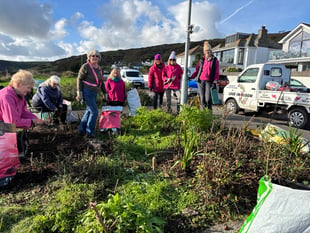 Locals urged to support Looe in Bloom in fundraising efforts