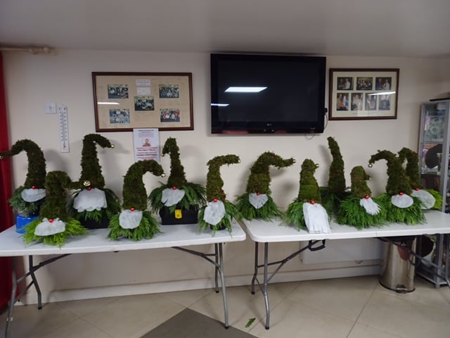 Some of the Nordic Gnomes the members of Liskeard Flower Club made recently 