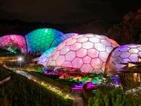 More lights than ever before as attraction shines out for Christmas