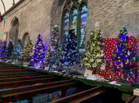 Magical Christmas trees herald the start of the festive season