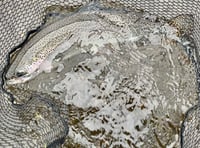 South West Lakes Trust November fisheries report