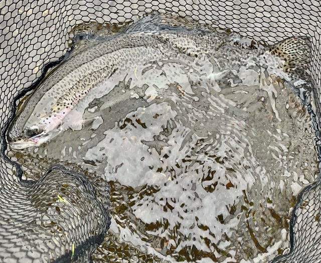 South West Lakes Trust November fisheries report