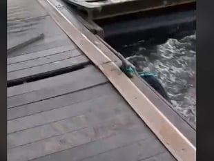Storm Darragh takes its toll on River Tamar impacting bridge and ferry