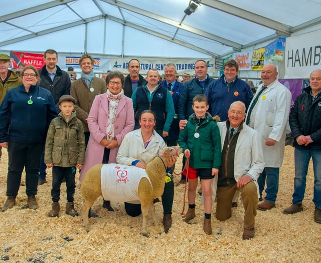 Champions and charity at Truro Primestock
