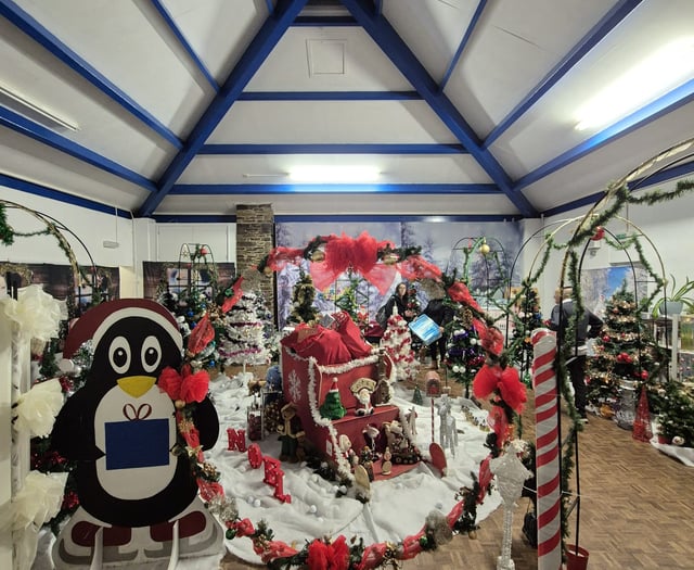 Charity helps bring magic of Christmas to autistic children