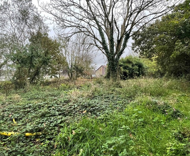 Plot of land at Dobwalls exceeds guide price at local auction
