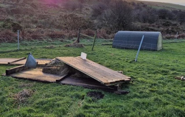 Alpaca farm owners' appeal after devastating storm damage