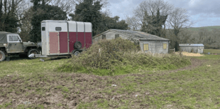Planning: Cornwall Council says 'neigh' to stable demolition plan
