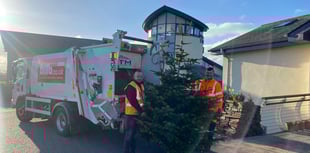 Recycle your Christmas tree in return for a donation