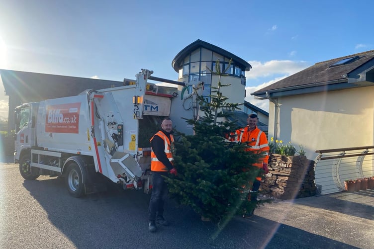 Volunteers from Biffa will be collecting the Christmas trees.
