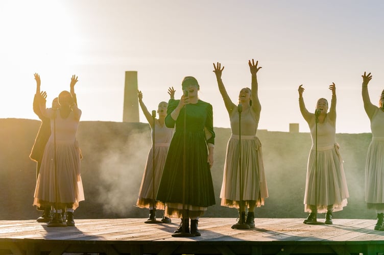 Stranger Beasts Steve Tanner