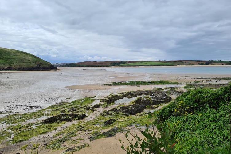 The striking Camel Estuary is to be the focus of the art commission