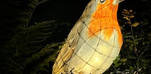 Visitors have the chance to illuminate their winter at night garden