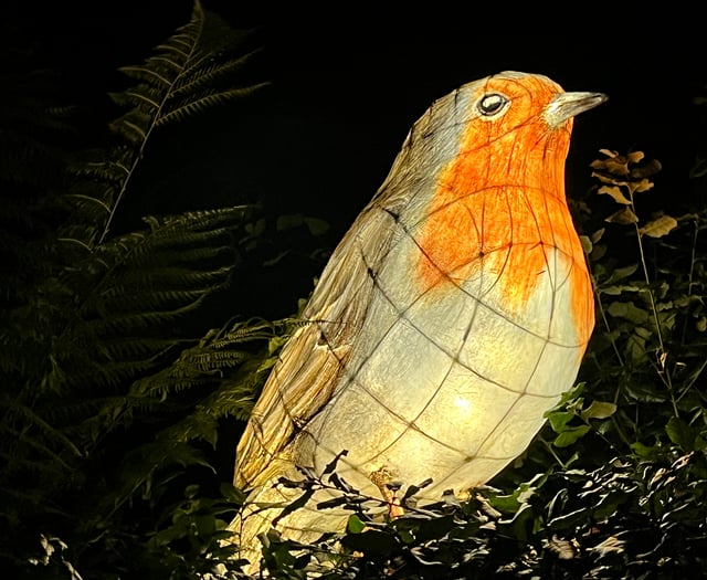 Visitors have the chance to illuminate their winter at night garden