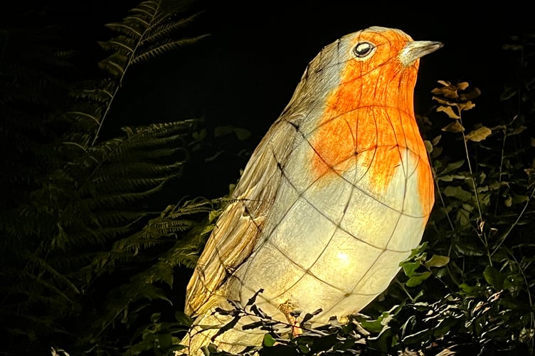 Robin lantern at Heligan Nighht Garden 2024