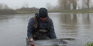 New rules in place to protect salmon