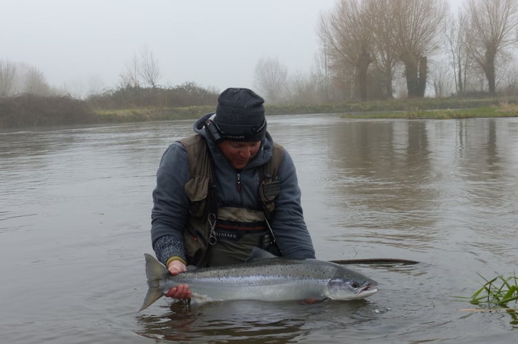 Salmon caught in the River Camel catchment must be returned unharmed to the water