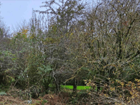 Planning: Shepherd's hut in rural location for holiday use approved 