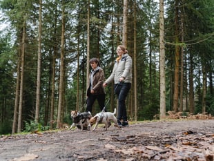 Cardinham Woods ready to welcome visitors for Walk Your Dog Month