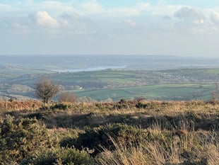 Planned walks offer chance to explore Tamar Valley