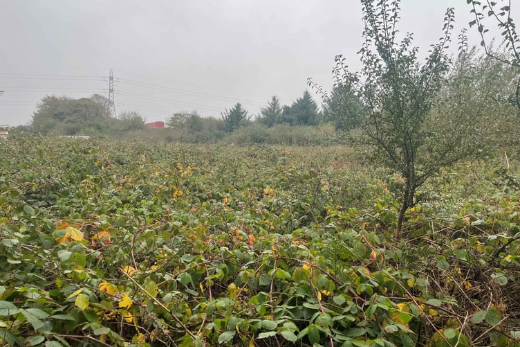 Land up for auction off Trezaise Road at Roche.