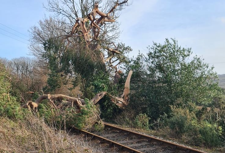 Fallen tree on the Bodmin and Wenford Railway heritage line (Picture: Abbi Newton)