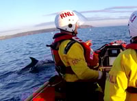 Amazing footage of dolphins swimming with lifeboat off Cornish coast
