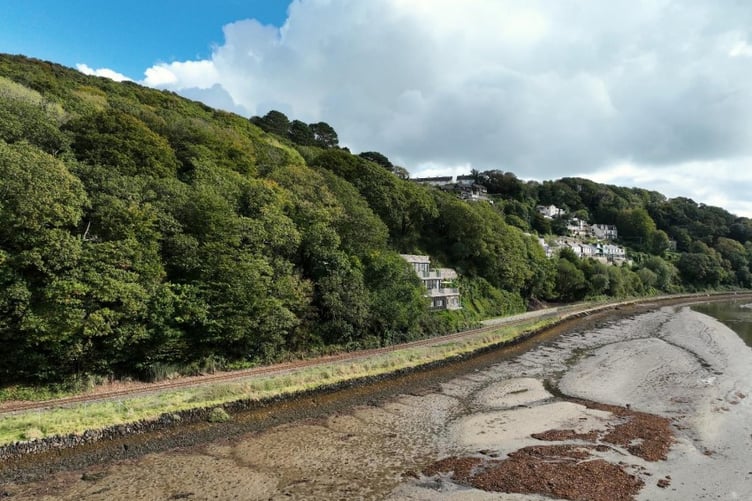 AN impression of the proposed new house next to the East Looe River