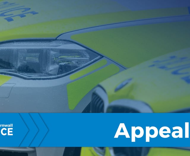 Police seeking information following two-car collision at Tredinnick