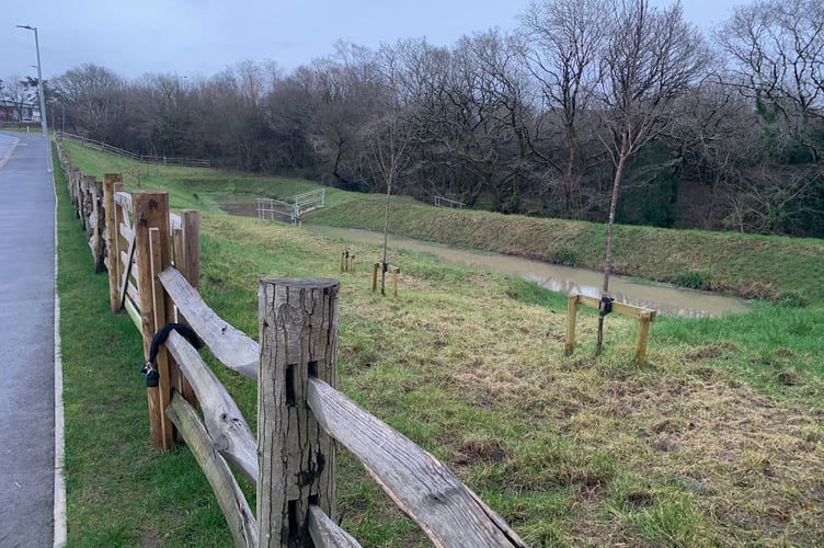 An attenuation pond installed below the main road is designed to temporarily hold and gradually release water to prevent flooding.