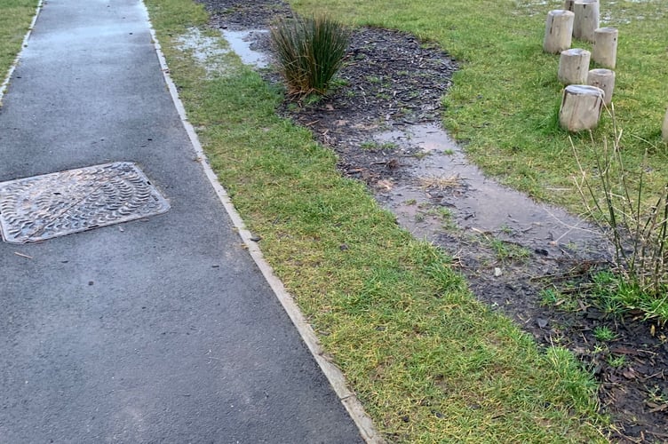 Landscaped areas around the estate appear waterlogged after recent heavy rain but it's not just the rain that's the problem, say residents. 