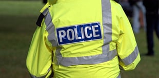 Police called after dead fox cubs spotted hanging from road sign