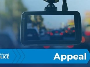 Dash-cam appeal after men in balaclavas flee A38 scene