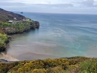Data shows South West Water discharge sewage 1,000 times in three days