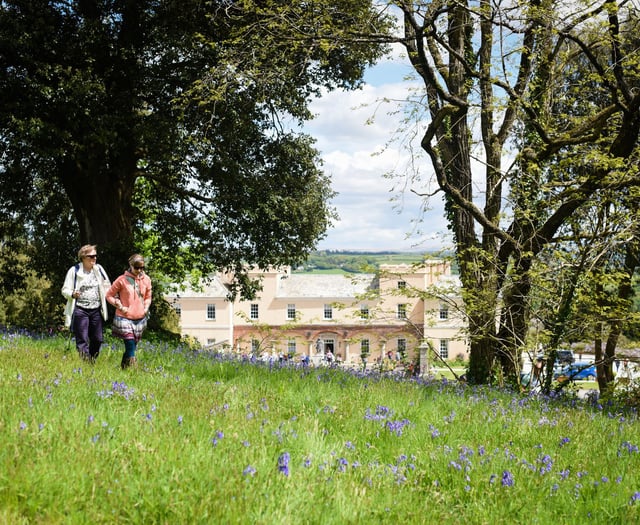 Entry to castle to support local children’s hospice